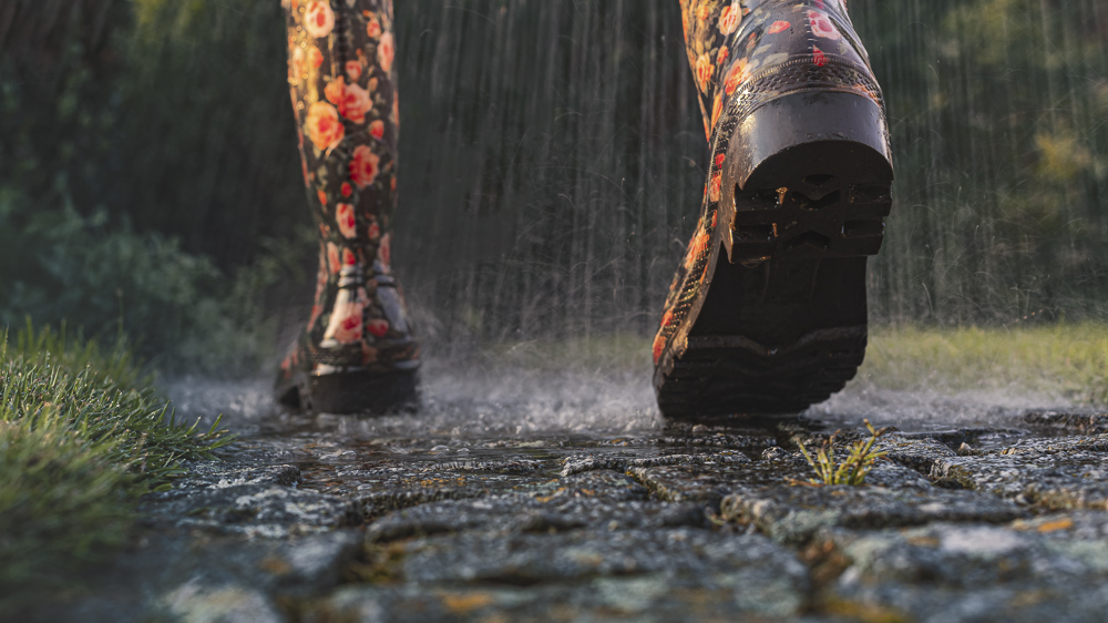 Platz 4 Anton Kienle